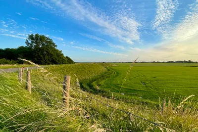 Camping Aan Noordzee - Bild 4