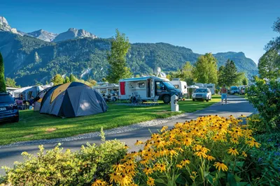Camping Aaregg - Strasse des Campingplatzes mit Wohnwagen- und Zeltstellplätzen daran