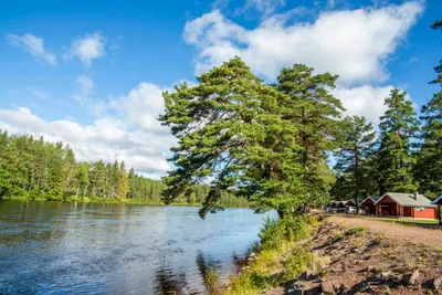 Älvdalens Camping - Bild 3