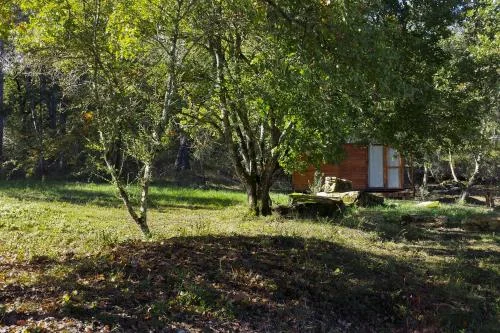 Agricampeggio Madonna Di Pogi
