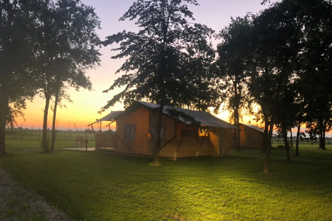 Glamping Tenuta Regina Bed&breakfast