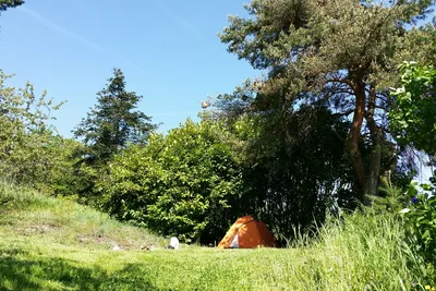 Aire Naturelle de Camping Les Cerisiers - Zeltplätze im Schatten