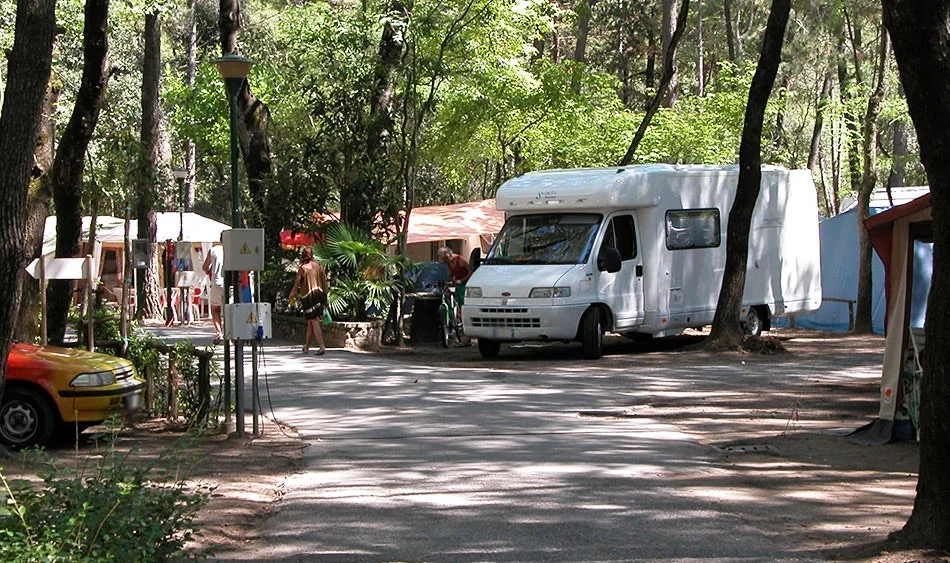 Al Bosco