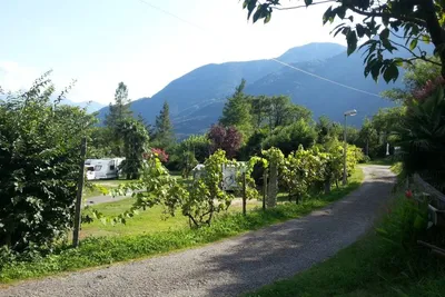 Camping Al Censo - Strasse auf dem Campingplatz mit Stellplätzen hinter einer Hecke