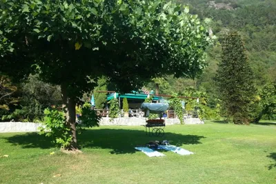 Camping Al Censo - Liegewiese auf dem Campingplatz mit einem schattenspendenden Baum