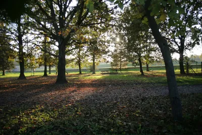 Camping Alba Village - Park  in der Nähe vom Campingplatz