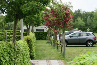 Camping Aldörrum - Parkplätze auf dem Campingplatz