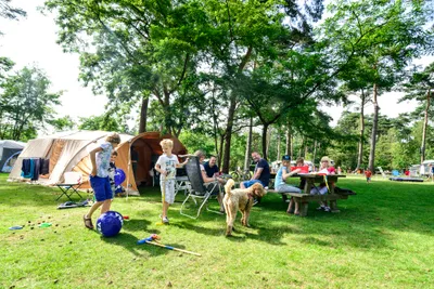 Kampeerterrein De Zeven Linden