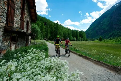 Camping Alphubel - Radler auf einem Radweg in den Alpen in der Nähe des Campingplatzes