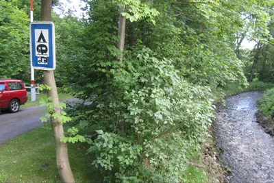 Campingplatz Alte Löweninsel - Eingang zum Campingplatz