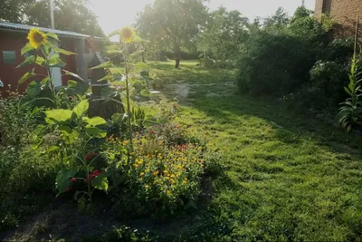 Altes Verwalterhaus - Eingang zum Garten mit Campingwiese