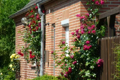 Campingplatz am alten Seedeich - Wohnhaus auf dem Campingplatz