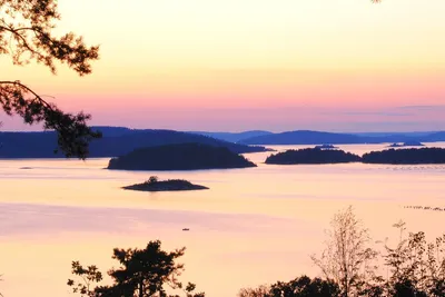 Anfasteröd Gårdsvik - Bild 4