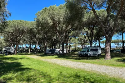 Area Sosta La Pampa - Standplätze zwischen den Bäumen auf dem Campingplatz