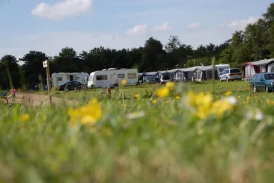 Arrild Ferieby Camping - Blick auf die Stellplätze auf der Wiese