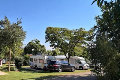 Autocamp Draga - Wohnwagen und Wohnmobil unter Bäumen auf dem Campingplatz
