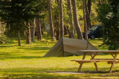 Campingzelt auf einem Stellplatz im Wald, daneben Picknicktisch und ein geparkter Wagen zwischen den Bäumen.