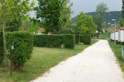Badacsony Camping - durch Hecken und Bäume parzellierte Standplätze, die durch einen Weg von den Mobilheimen getrennt werden