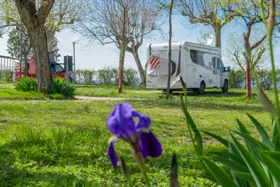 Baia Holiday Romantica a Lago - Standplätze im Grünen auf dem Campingplatz