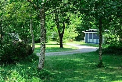 Camping Balmweid - Stellplätze unter Bäumen mit einem Mobilheim im Hintergrund