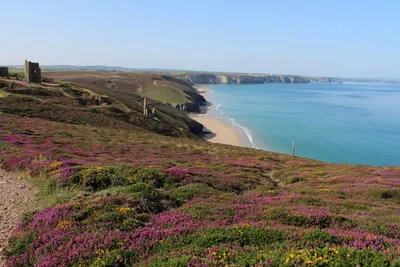 Camping Beacon Cottage Farm - Aussicht auf den Strand