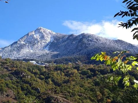 Bedura Park, camping temático de la naturaleza y bungalows