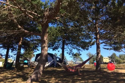 Camping Bel Sito - Wohnwagen mit Hängematten, die zwischen Bäumen aufgespannt sind, im Vordergrund