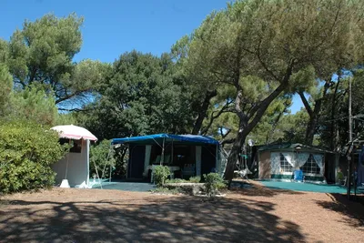 Camping Belmare  -  Stellplatz vom Campingplatz zwischen Bäumen