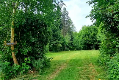 BergseeCamp - Zelt- und Stellplätze im Grünen umgeben von Bäumen