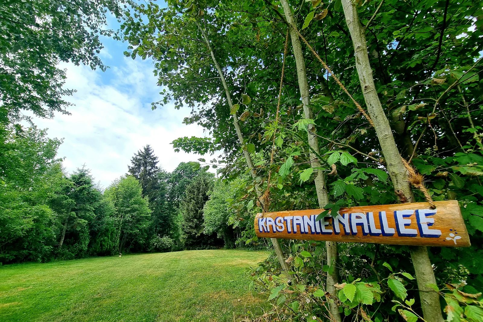 Bergseecamp Delliehausen