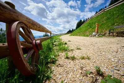 BergSpektive – Privat AlpinCamping - Wanderweg mit Aussicht auf die Berge