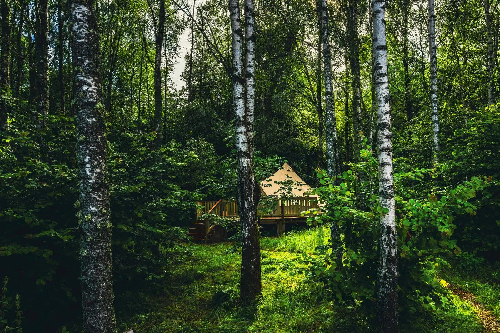 Bjarkagård glamping
