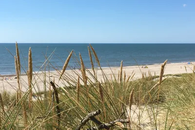 Bjerregaard Camping  -  Campingplatz mit direktem Zugang zum Strand an der Nordsee