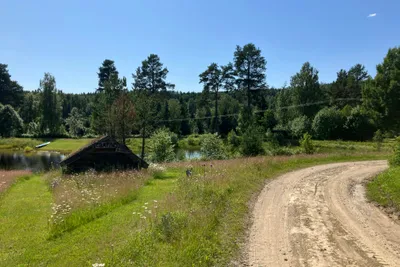 Björsarv camping - Blick auf die Natur in der Umgebung des Campingplatzes