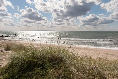 Campingplatz Blank-Eck  -  Strand vom Campingplatz an der Ostsee