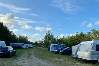 Blokhus Natur Camping - Bild 2
