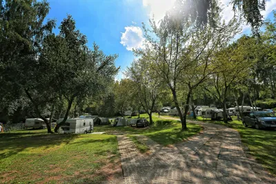 Blütencamping Riegelspitze - Strasse auf dem Campingplatz mit Stellplätzen unter Bäumen