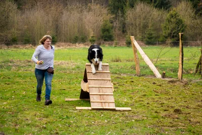 Campingplatz Böhmeschlucht  - Parcours für Hunde auf dem Campingplatz