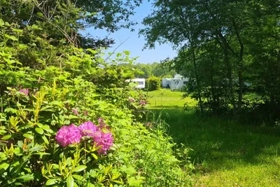 Boerderijcamping Erve Wolkotte - Standplätze im Grünen auf dem Campingplatz