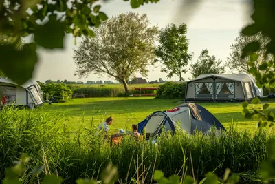Boerencamping Ny Herema - Zeltwiese auf dem Campingplatz