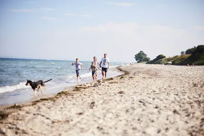 Booknis - Das Ostseeresort