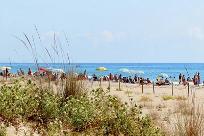 Camping Clara  -  Camper am Strand vom Campingplatz am Mittelmeer