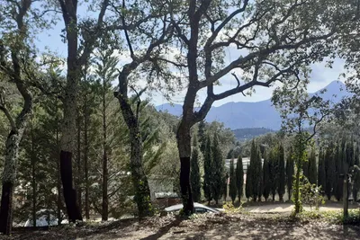 Càmping La Sureda - Blick auf den Campingplatz