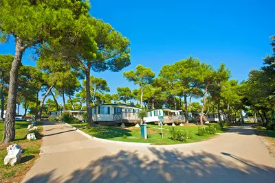 Arena Indije Campsite Bild 4