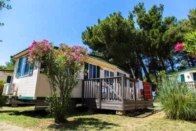 Arena Stupice Campsite - Bild 4