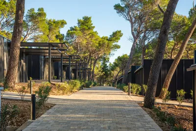 Pinadria Adriatic Coast - Bild 2