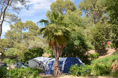 Camp Du Domaine - Bild 3