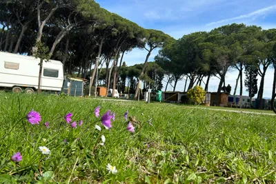 Campeggio Bocca Di Cecina - Bild 4