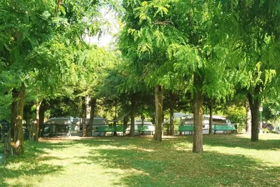 Camping Bracchetto Vetta Standplätze im Grünen unter Bäumen