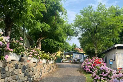 Camping Bracchetto Vetta Standplätze umgeben von Blumen und Bäumen